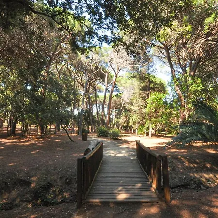 Amazing In Apartamento *